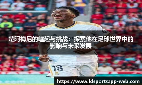 LD乐动体育