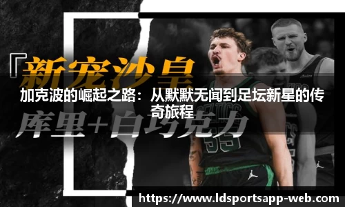 LD乐动体育官网